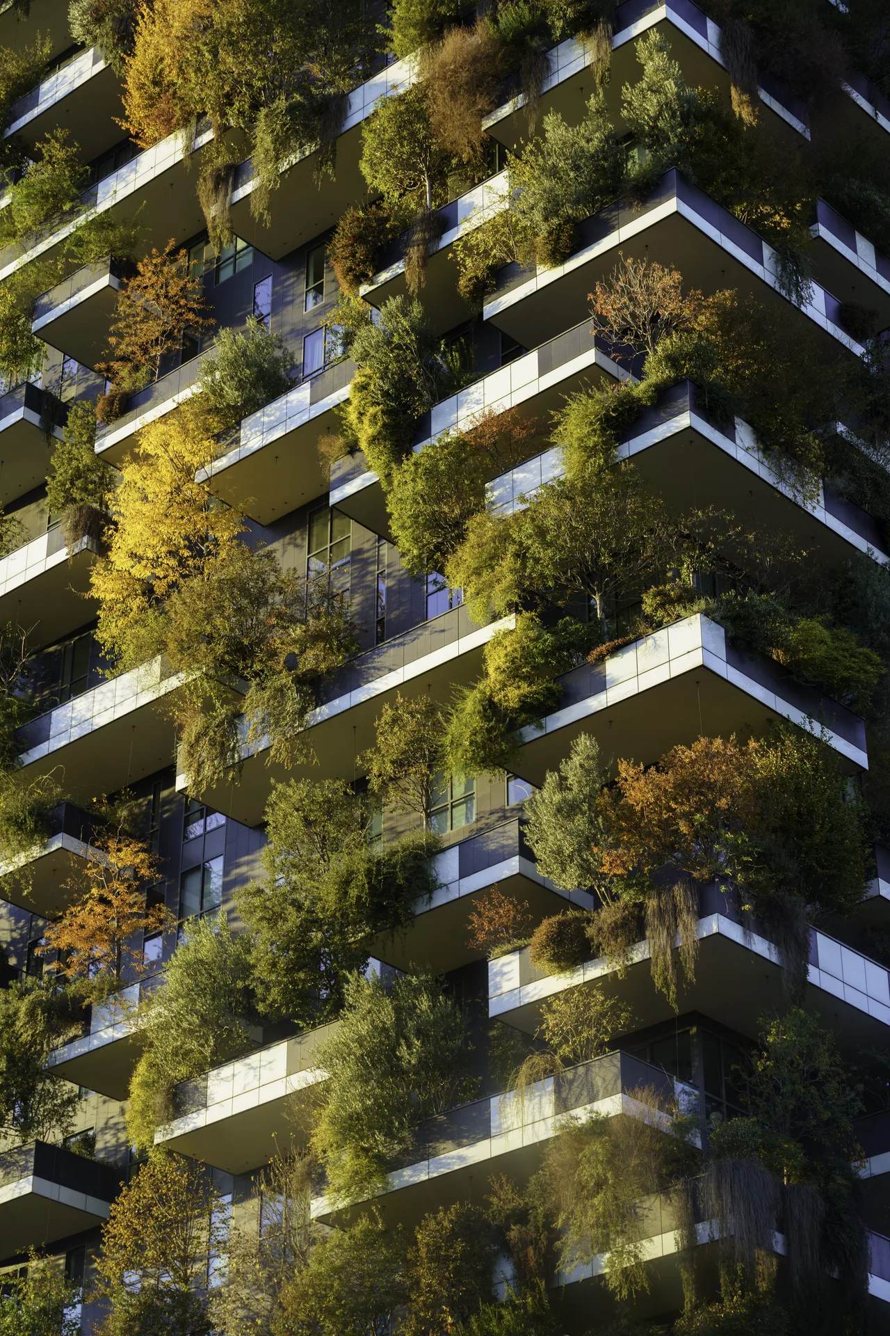 Referência de edifício contemporâneo com vegetação integrada